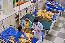 Bất ngờ bị ong vò vẽ đốt, chàng trai 21 tuổi sốc phản vệ nguy kịch