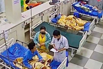 Bất ngờ bị ong vò vẽ đốt, chàng trai 21 tuổi sốc phản vệ nguy kịch