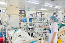 Dọn sân thượng, người đàn ông 45 tuổi bị ong vò vẽ đốt suy đa tạng