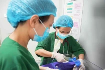 Cứu hai mẹ con sản phụ tiền sản giật nặng kèm hội chứng HELLP