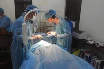 Lặn bắt cá, người đàn ông bị cá kìm tấn công đâm vào cổ