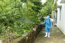 Đau khớp, đi còng lưng cẩn thận mắc bệnh Chikungunya