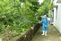 Đau khớp, đi còng lưng cẩn thận mắc bệnh Chikungunya