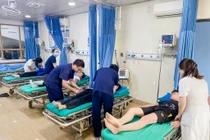 4 học sinh nhập viện cấp cứu do bị ong đốt