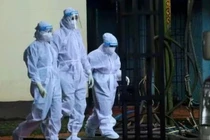 Bộ Y tế khuyến cáo 'nóng' về virus Nipah Ấn Độ có tỷ lệ tử vong 40-75%