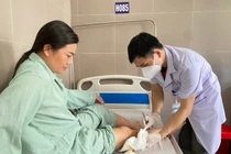 Gần 1 tháng tiếp nhận hơn 20 người bị chó cắn