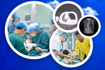 Bé hơn 2 tuổi ngã bị thoát vị hoành nghẹt nguy hiểm