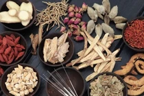 Món ăn bài thuốc phòng chữa ngứa da mùa hè