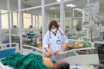  Viêm màng não nguy kịch do nhiễm nấm từ chim bồ câu 