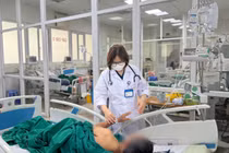  Viêm màng não nguy kịch do nhiễm nấm từ chim bồ câu 