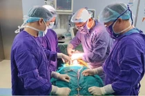 Giãn tĩnh mạch tinh, nguyên nhân gây vô sinh nam, có nên phẫu thuật?