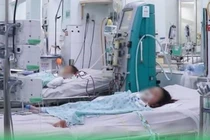 Trẻ sốt xuất huyết men gan tăng gấp 100 lần, sốc nặng