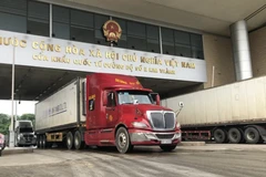 Tạm dừng áp dụng Nghị định 46 về an toàn thực phẩm đến hết ngày 15/4/2026