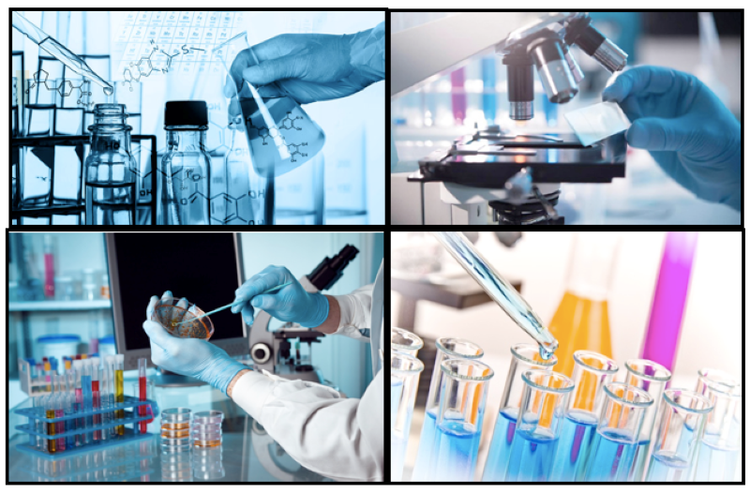 (Ảnh minh họa: FAO)