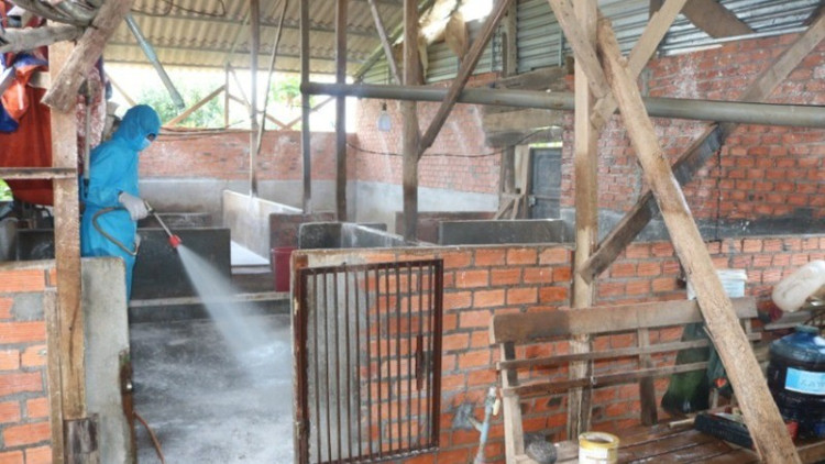 Các lực lượng chức năng phun hóa chất khử trùng, xử lý môi trường chuồng trại chăn nuôi/Ảnh ND