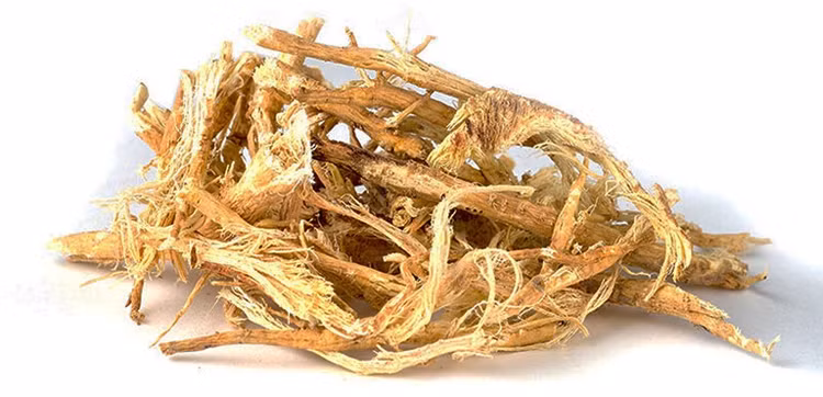 Hoàng kỳ là một trong những vị thuốc quý trong kho tàng thuốc Đông y/Ảnh minh hoạ-Internet