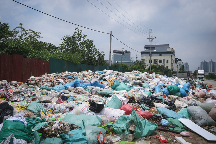 Thực phẩm bị đổ bỏ tại bãi rác là các loại bánh kẹo, hạt, hoa quả sấy, thạch,... đã hết hạn sử dụng từ năm 2024. (Ảnh tienphong.vn)