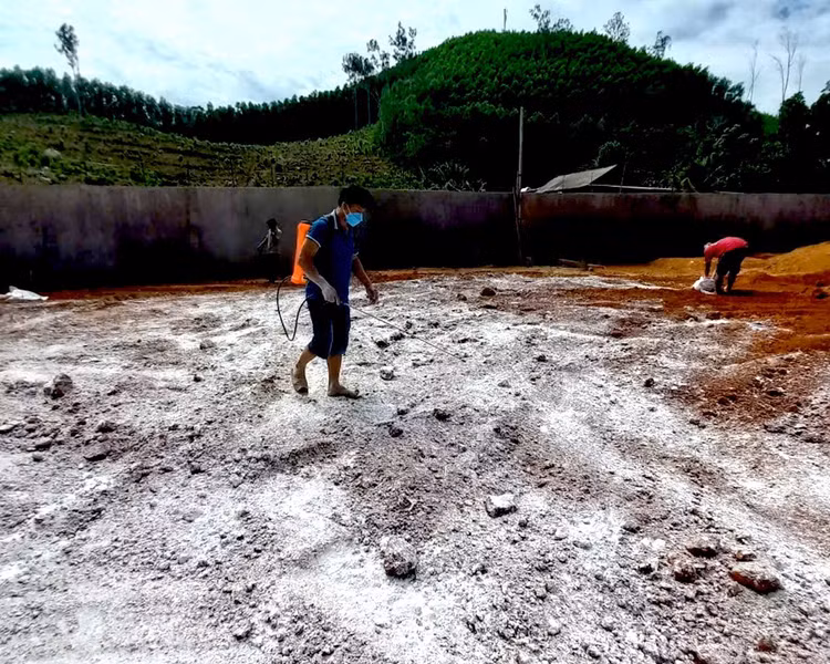 Hơn 100 tấn thịt heo đã được tiêu huỷ/Ảnh tienphong,vn