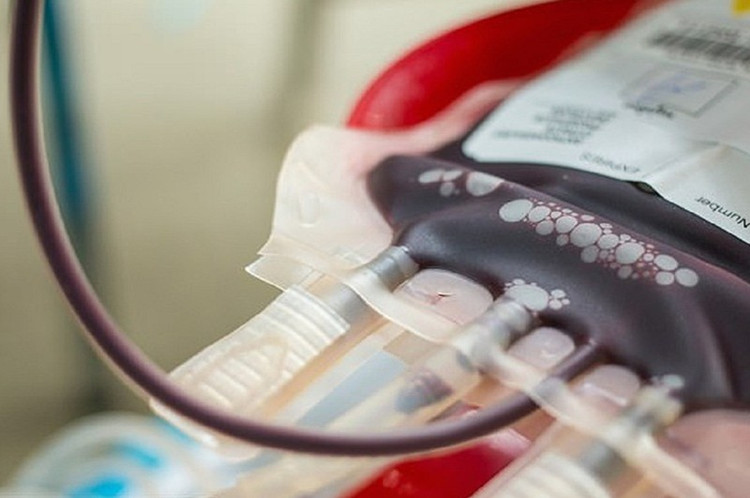 Người mang nhóm máu Rh-null chỉ có thể nhận chính máu Rh-null/Ảnh minh hoạ/Internet