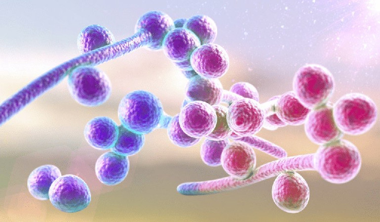 Ảnh minh họa/Internet