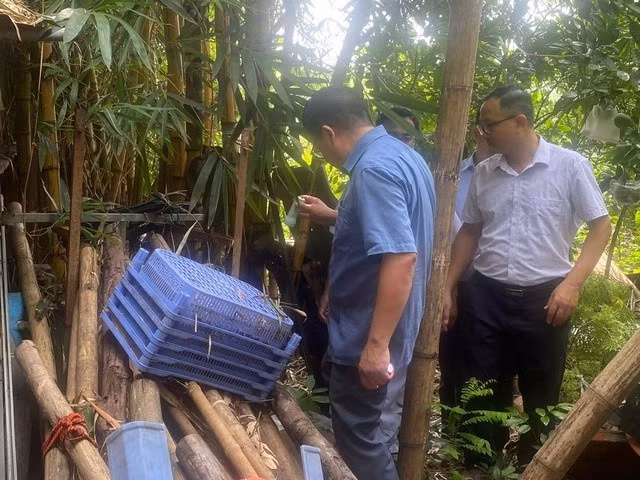 CDC Hà Nội kiểm tra sốt xuất huyết tại phường Xuân Phương. Ảnh tuoitrethudo.vn