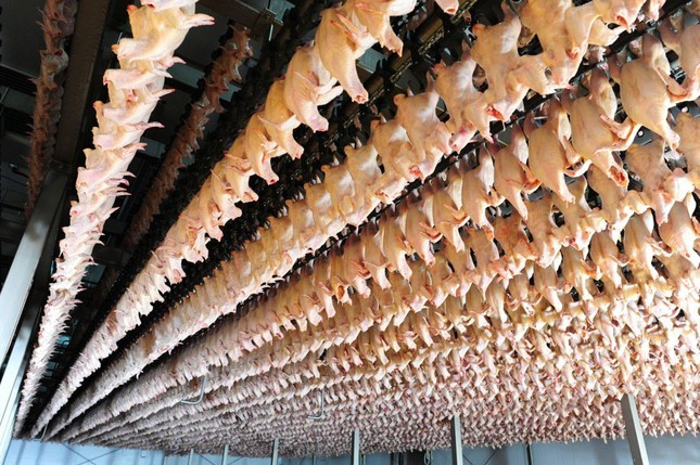 Dây chuyền công nghiệp bên trong Nhà máy chế biến sản phẩm thịt Hà Nội (Ảnh tienphong)
