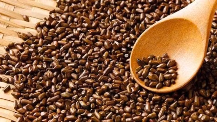 Các nghiên cứu và kinh nghiệm dân gian cho thấy, hạt muồng mang lại nhiều lợi ích cho sức khỏe. Ảnh minh họa/Internet