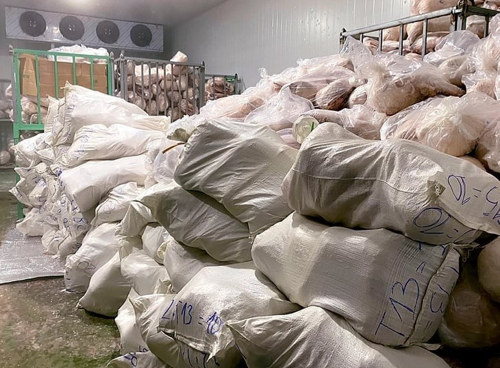 Số thịt heo không rõ nguồn gốc được ông Hướng trữ trong kho lạnh. Ảnh QLTT