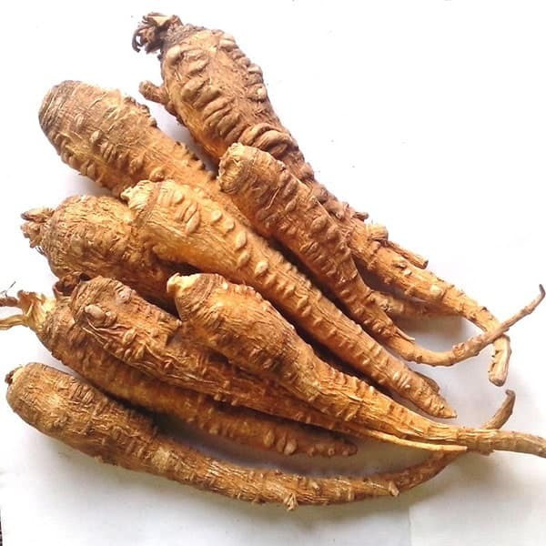 Dược liệu Bạch chỉ tính ấm có công dụng giải cảm, tiêu viêm.