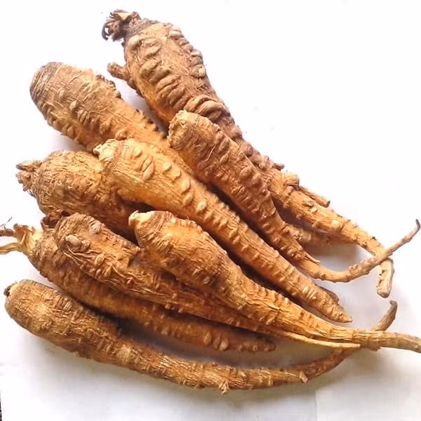 Dược liệu Bạch chỉ tính ấm có công dụng giải cảm, tiêu viêm.