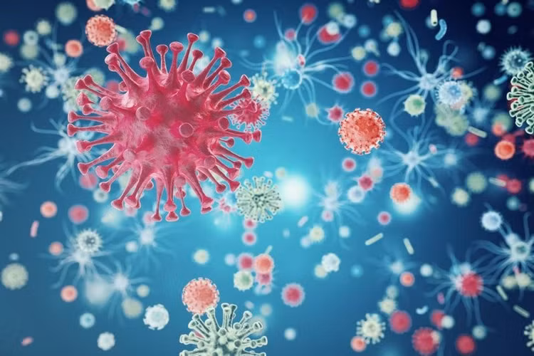 Thời tiết giao mùa thuận lợi cho các mầm bệnh đường hô hấp phát triển. Ảnh minh hoạ/Internet