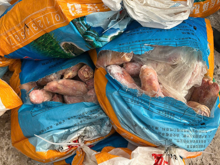 Tang vật vi phạm được đóng trong các bao tải dứa vận chuyển đi tiêu thụ/Ảnh DMS