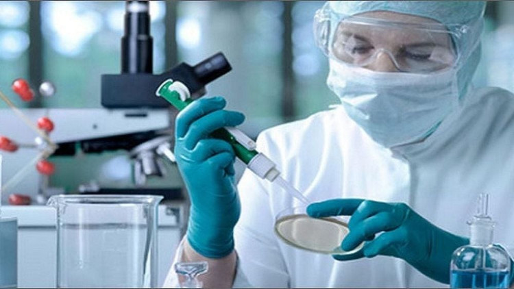 Tế bào gốc có thể được phát triển thành các tế bào cụ thể như tế bào cơ tim, tế bào máu hoặc tế bào thần kinh. Ảnh vinmec.com