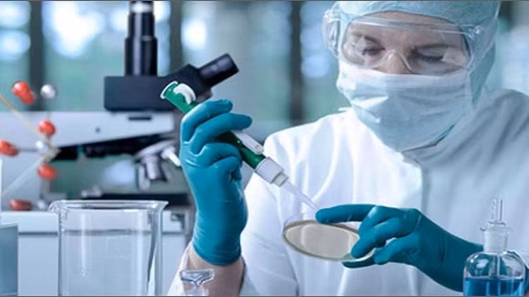 Tế bào gốc có thể được phát triển thành các tế bào cụ thể như tế bào cơ tim, tế bào máu hoặc tế bào thần kinh. Ảnh vinmec.com