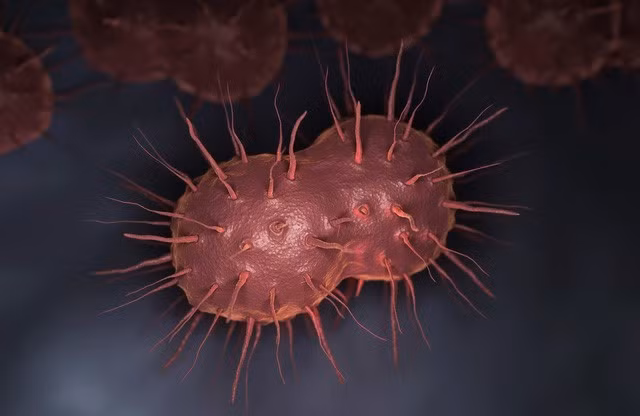 Vi khuẩn lậu có thể gây nguy hiểm cho thai nhi trong khi mang thai và sau sinh/Ảnh nguồn moh.gov.vn