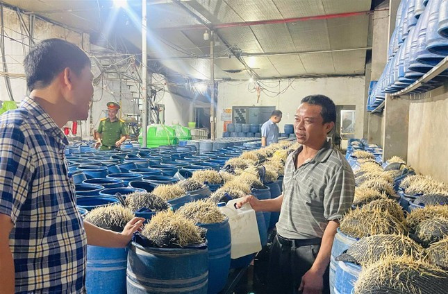 Giá đỗ được sản xuất trong các thùng có thể tích khoảng 15 lít. Ảnh: Tống Huệ