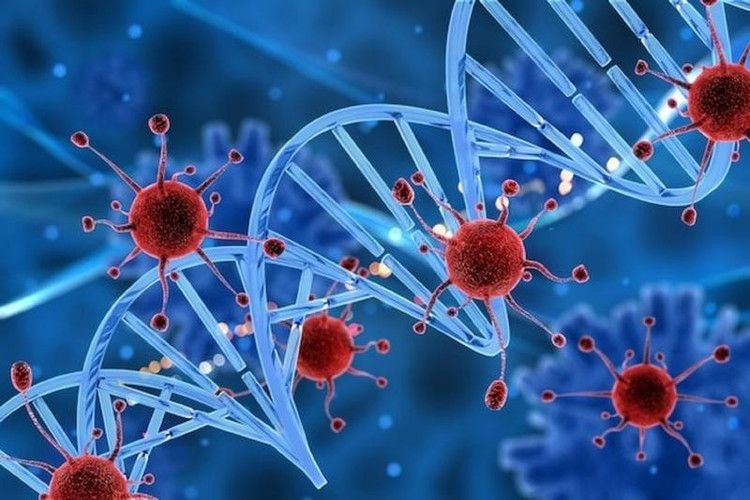 Tế bào ung thư xuất hiện và lan rộng thông qua các hạch bạch huyết. Ảnh minh họa/Internet