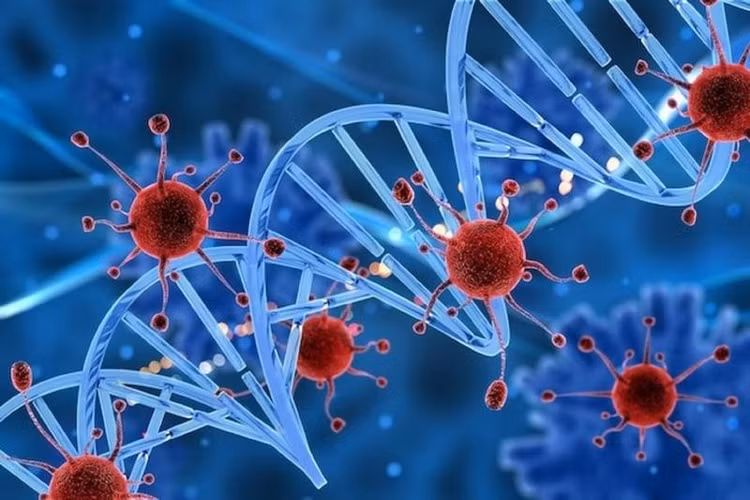 Tế bào ung thư xuất hiện và lan rộng thông qua các hạch bạch huyết. Ảnh minh họa/Internet