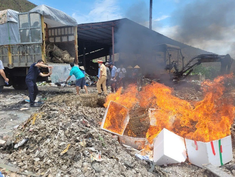 Buộc tiêu hủy 3.100 kg hàu không rõ nguồn gốc, xuất xứ tại bãi xử lý rác thải/Ảnh DMS