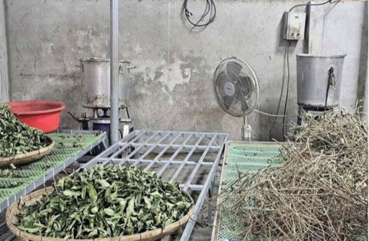 Bài thuốc bị thổi phồng công dụng của Phòng chẩn trị Hoàng Minh Đường