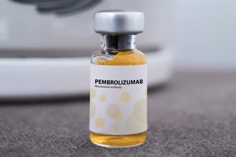 Thuốc Pembroria có hoạt chất chính là Pembrolizumab. Ảnh: incentra/thuonghieucongluan.com.vn.