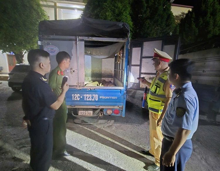 Đoàn kiểm tra bắt giữ phương tiện vận chuyển lợn/Ảnh DMS