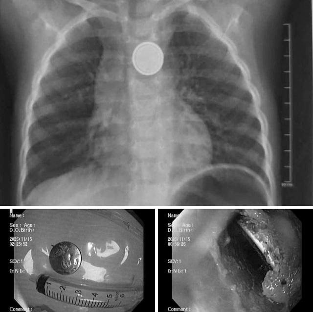  Bệnh viện Nhi Hải Phòng