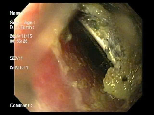  Bệnh viện Nhi Hải Phòng