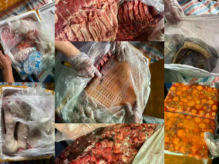 Hàng tấn sản phẩm nội tạng động vật đông lạnh đã xuất hiện nấm mốc và bốc mùi hôi. Ảnh: CACC