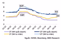 Cuối năm, lãi suất đầu vào sẽ tăng nhẹ 20 điểm cơ bản?