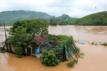 20 năm qua, Việt Nam đã đón những cơn bão lớn nào?