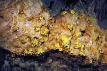 Phát hiện 40 mỏ vàng khủng, trữ lượng gần 30 tấn ở Việt Nam