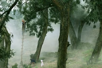 “Kho báu” ẩn mình trong núi thiêng, cả làng canh phòng cẩn mật 