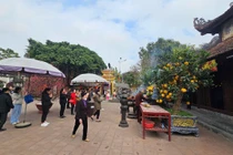 Hải Dương: Đền cổ nườm nượp khách đến lễ đầu xuân